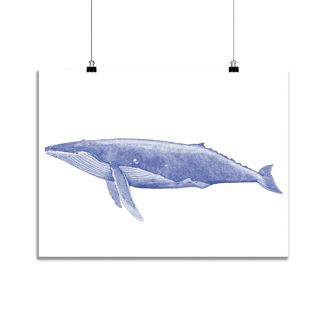 41816d_c99a5ebbc1444ba8bef58cf8e4e4daa1~mv2